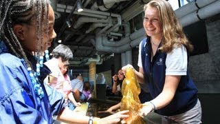 Children's Education Endowment