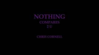 Chris Cornell - &quot;Nothing Compares 2 U&quot; Prince Cover