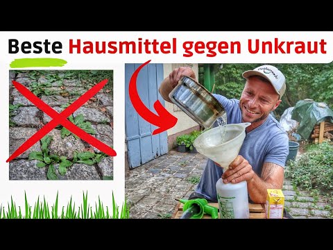 Unkrautvernichter selber herstellen 🌿 ANLEITUNG I Unkraut mit Hausmitteln bekämpfen.