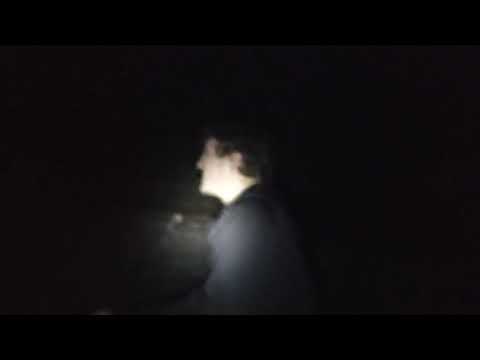 Big Fish Little Fish, Cardboard Box