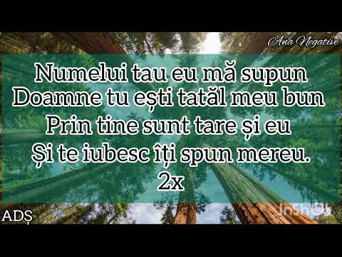 NEGATIV TON FATA| Numelui tau eu mă supun