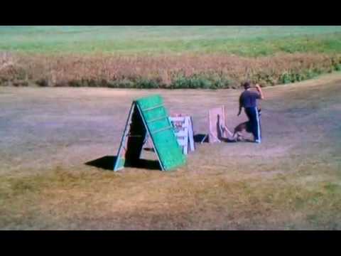 Jabina Niler 98 Obedience