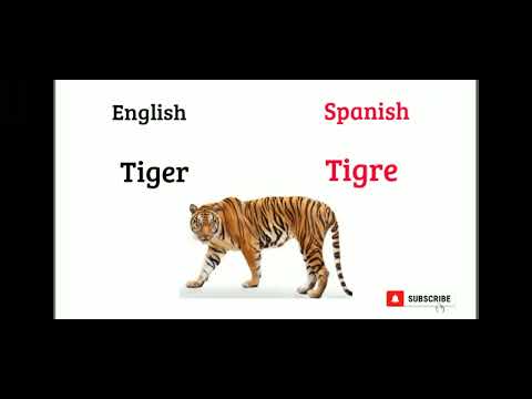 Names Of Animals Spanish language.Nombres De Animales Idioma Español