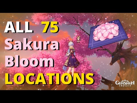 ALL 75 SAKURA BLOOM LOCATIONS | Complete guide & Farming Route | GENSHIN IMPACT