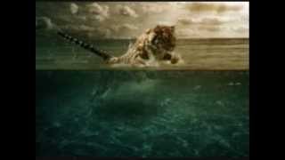 STEPHANIE MILLS .STARLIGHT...