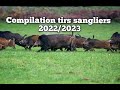 ☆54 tirs - compilation tirs sangliers best of 2022/2023☆