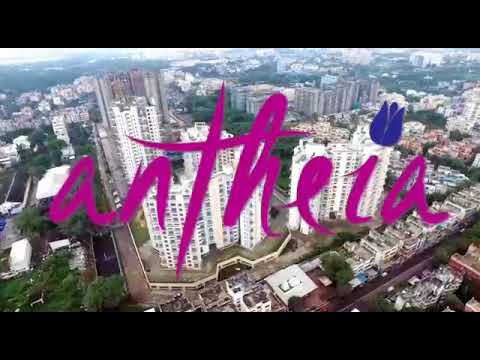 Walkthrough Walkthrough