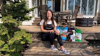 Let's Grow: Environmentally Friendly Gardening Tips ENGLISH GARDENS