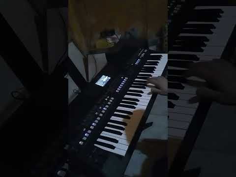 Apaixonada - Banda Magníficos