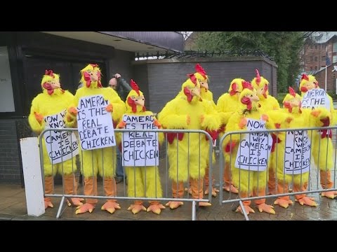 Election 2015: David Cameron says election 'on a knife edge'