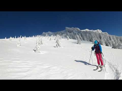 ski tour Caliman Izvor peak 02.2021