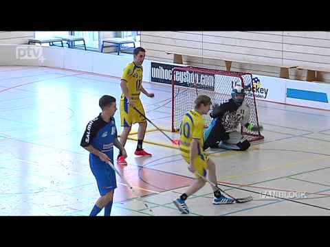 Dresden Igels verlieren unglücklich