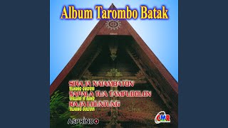Download lagu Sapalatua Tampubolon mp3