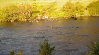 preview picture of video 'salmon fly fishing helmsdale scotland'