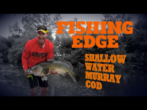 Fishing Edge Episode - Shallow Water Murray Cod