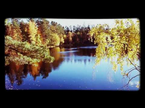 August Hylse - KONSTIG FILM #2 - Hultagölen Ronneby höst 2014 eller 2015