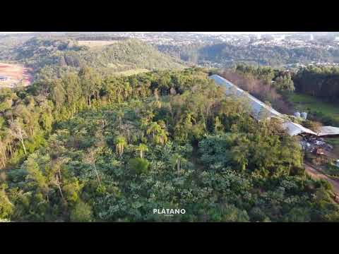 ÁREA DE TERRAS, 22994M² ÁREA TOTAL para venda EM PICADA 48 ALTA
