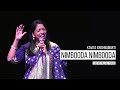Nimbooda Nimbooda Hum Dil De Chuke Sanam Kavita Krishnamurti Live At Dallas Texas