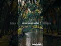 Odai Kuyil Oru Paattu Padikkilayaa Tamilsong Lyrics Ilayarajasongs Whatsappstatus Shorts