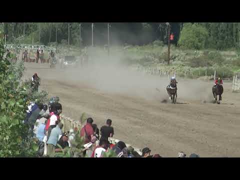 TONY  "Club Hipico Cabo Alarcón"    Picun Leufu    20-11-2022