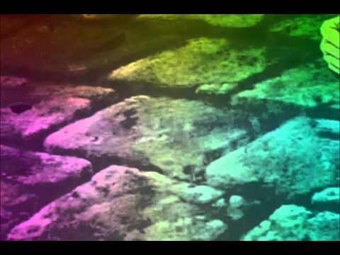 Simple Plan - Song Saved My Life(walt disney/non)