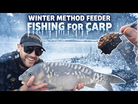 Winter Method Feeder Fishing For Carp !