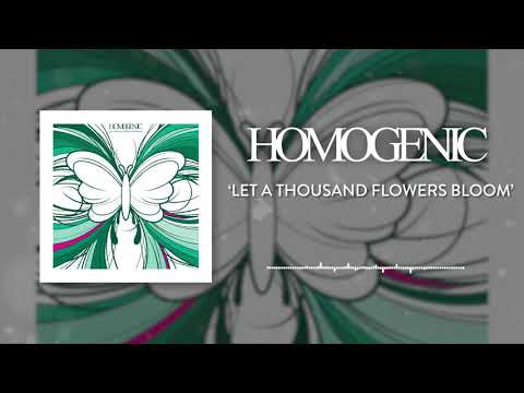 Homogenic - Seringan Awan (Official Audio)