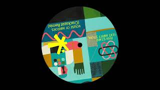 Riva Starr ft Harry Stone - House Of Mirrors (DeepDisc) video
