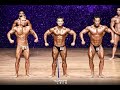 2019 도봉구청장 및 연합회장배 대회 보디빌딩 경기 [2019 Dobong-gu Bodybuilding]