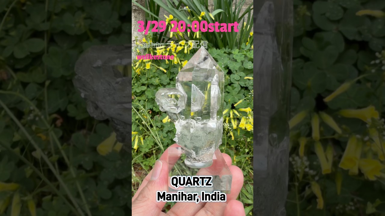 3/29 20時｜世界の水晶が集まるライブ配信やります💎見逃し厳禁！　#welikestones