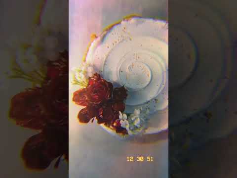 Let's Decorate the cake with this beauty "Unke Wo Andaz e Karam"  | VocalsOnly