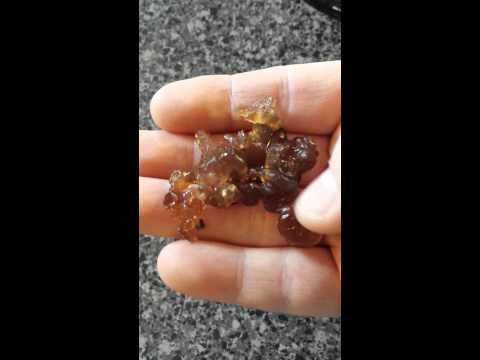 Does anyone know what this is?