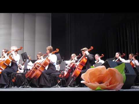 Highland High Chamber Orchestra - 3.2.20 - Inishowen