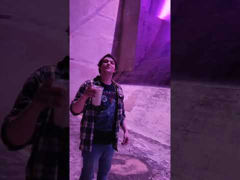 Lytepath under the Neon Lights