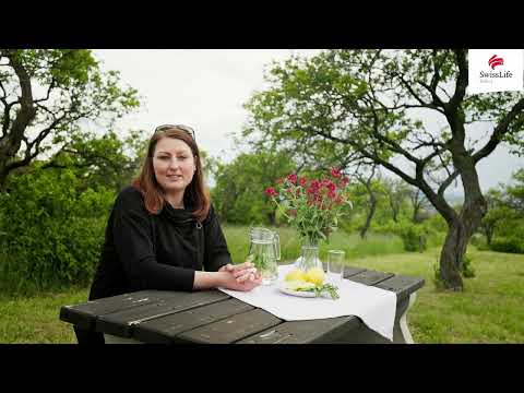 Prodej sadu, vinice 3876 m2, Židlochovice