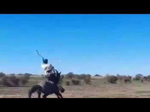 CAT BASTOS: "LA REINA MORA" DE MAURO MAIDANA VS PACHI SOSA