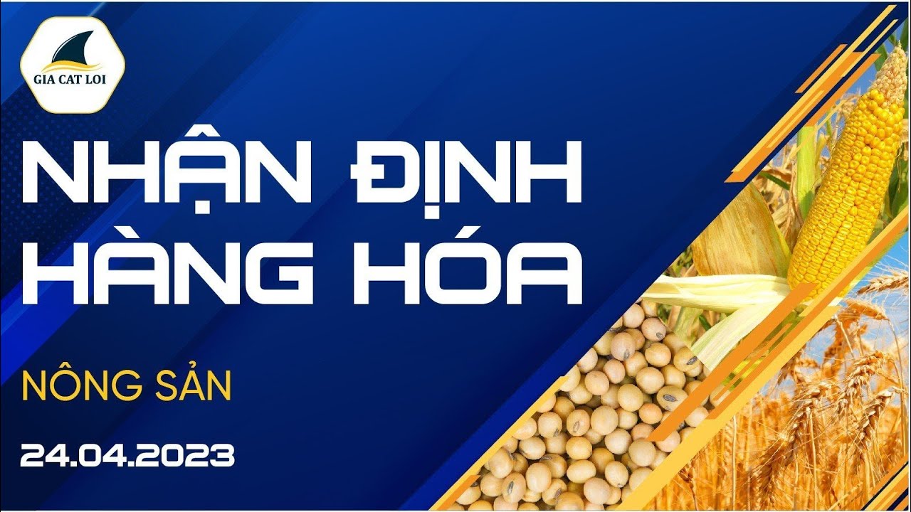 Nhận Định Hàng Hoá Nông Sản Ngày 24/04/2023