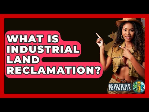 What Is Industrial Land Reclamation? - Ecosystem Essentials