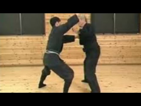 Koto Ryu Koppojutsu - Hatsumi Sensei - Bujinkan Dojo  Ninjutsu (Ninja)
