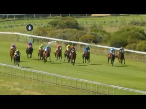 CHANSONETTE - World Sports Betting Cape Fillies Guineas (Grade 1)