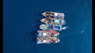 Assessing IUU Fishing in Southeast Asia