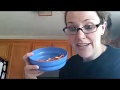 Animal Snack Time