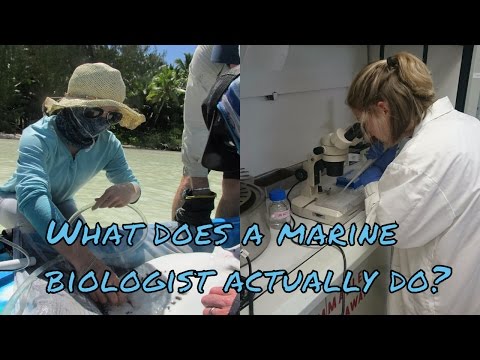YouTube video about What Do Marine Biologists Do?
