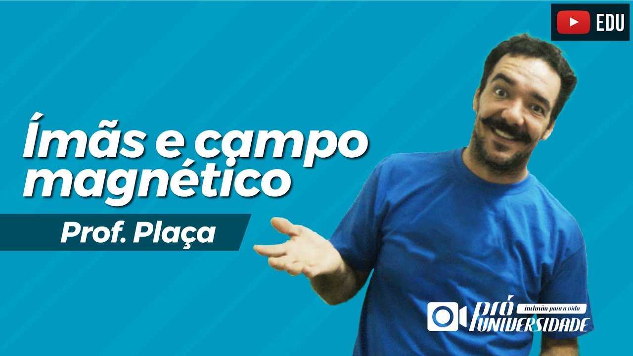 FÍSICA - ÍMÃS E CAMPO MAGNÉTICO