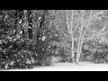 Вивальди - Зима - Февраль (часть 3) 