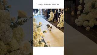 Miniature vidéo