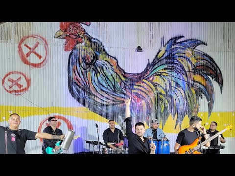 MODO AVION | Tonchy y la Banda del Gallo | Sesion live