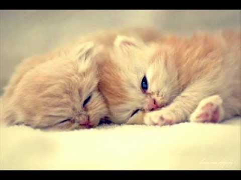 Mc_Sanjo - Sjecas li se