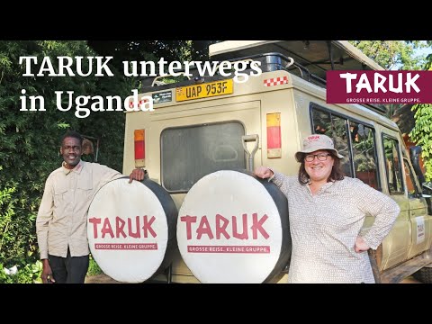 Gorillas im Nebel - TARUK Mitarbeiterin Silke unterwegs in Uganda