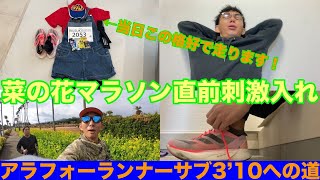 [Vlog] #27 菜の花マラソン直前刺激入れ